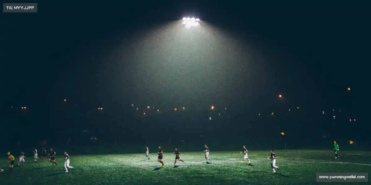 贵宾会官网vip——运动不止，青春不散场！